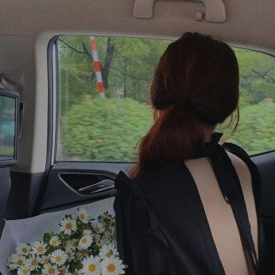 万物生灵：2024圣诞特别集