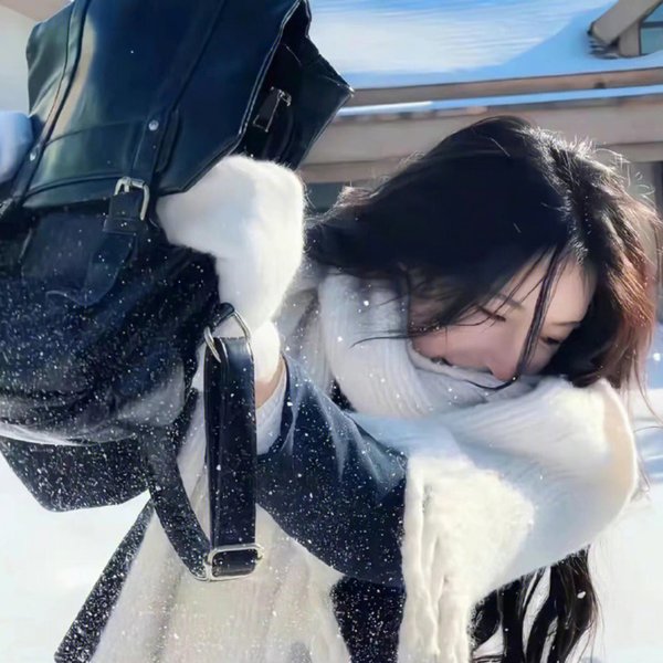 白鹭